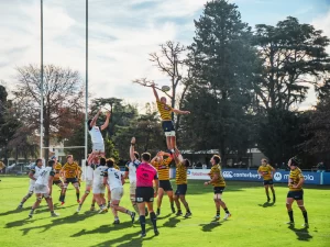 rugby